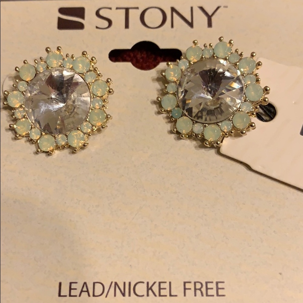 Stony Earrings